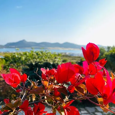 Holiday home Cozy Sea View House Agios Georgios (Antiparos)